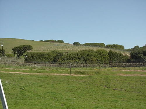 Point Reyes Vineyard Inn كاليفورنيا سيتي المظهر الخارجي الصورة