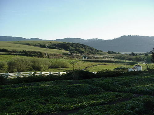 Point Reyes Vineyard Inn كاليفورنيا سيتي المظهر الخارجي الصورة
