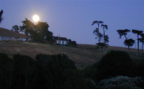 Point Reyes Vineyard Inn كاليفورنيا سيتي المظهر الخارجي الصورة