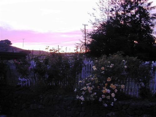 Point Reyes Vineyard Inn كاليفورنيا سيتي المظهر الخارجي الصورة