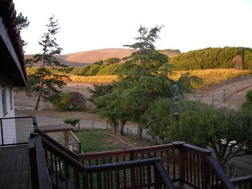 Point Reyes Vineyard Inn كاليفورنيا سيتي المظهر الخارجي الصورة