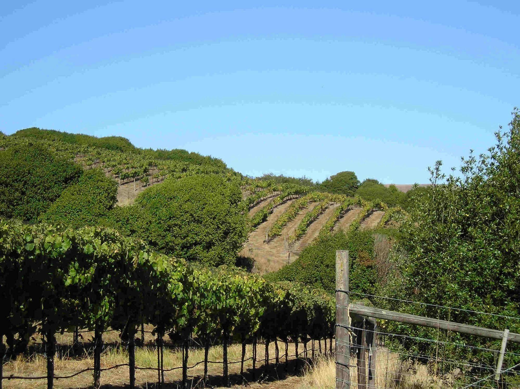 Point Reyes Vineyard Inn كاليفورنيا سيتي المظهر الخارجي الصورة